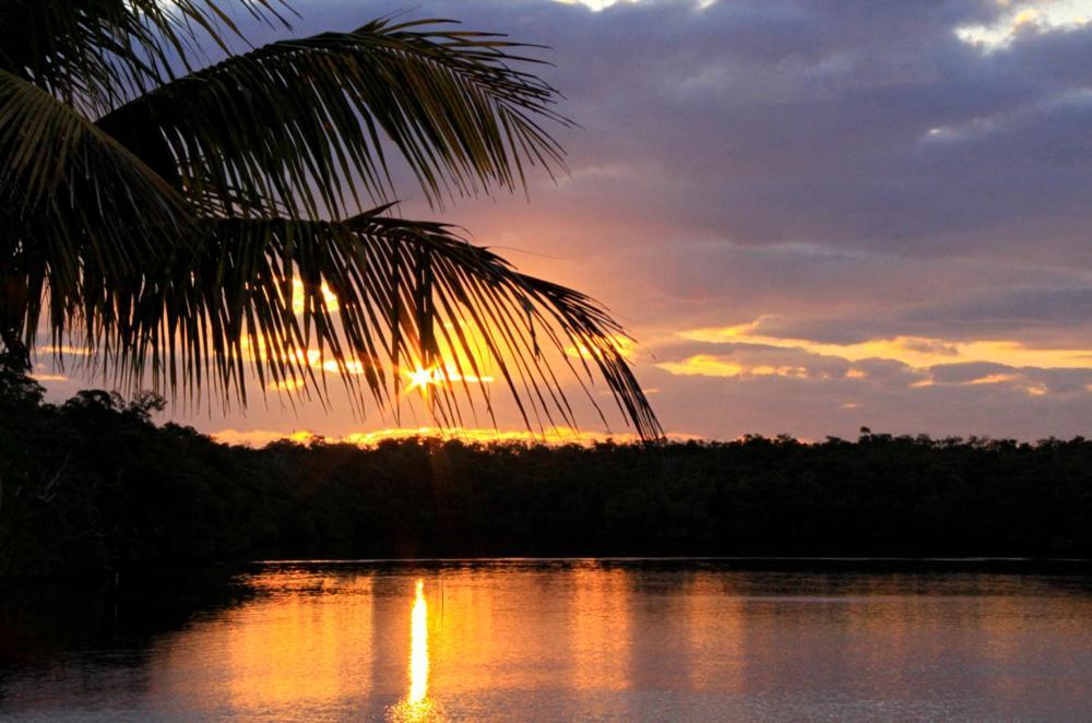 River Wilderness Waterfront Cabins Everglades City Eksteriør billede